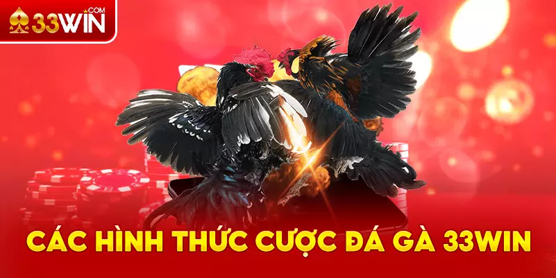 Các hình thức cược có tại đá gà 33Win