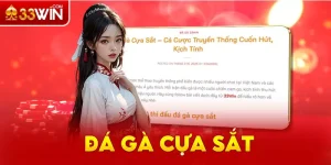 Đá gà cựa sắt