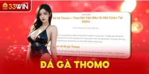 Đá gà Thomo