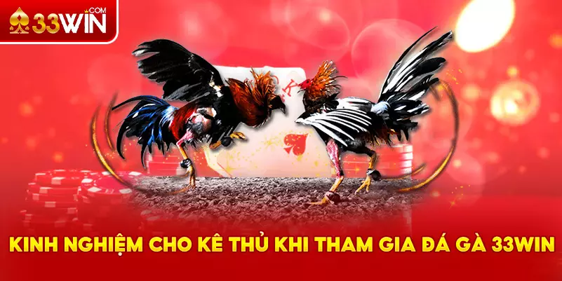 Kinh nghiệm cá cược đá gà 33Win