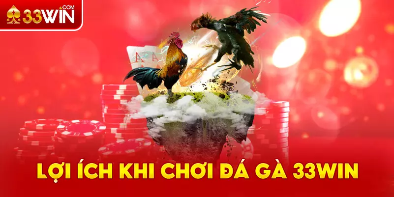 Lợi ích to lớn khi chơi đá gà 33Win